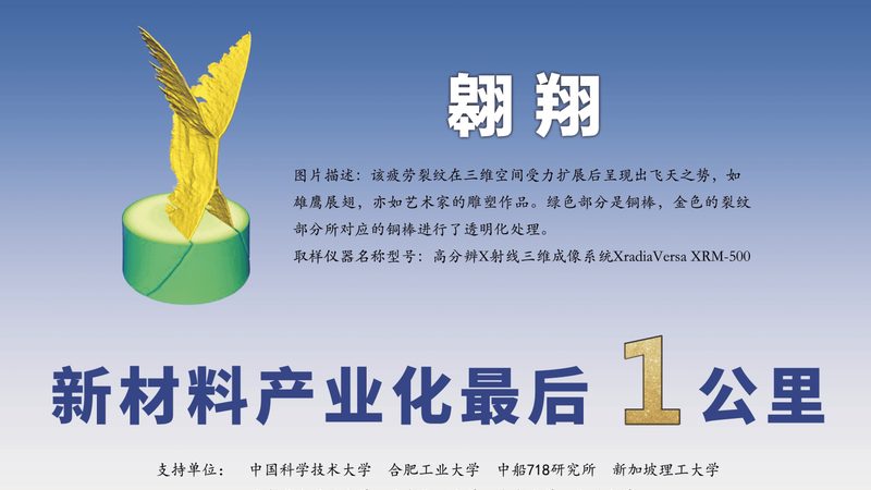 广州纺织助剂市场：解析行业发展趋势与挑战**