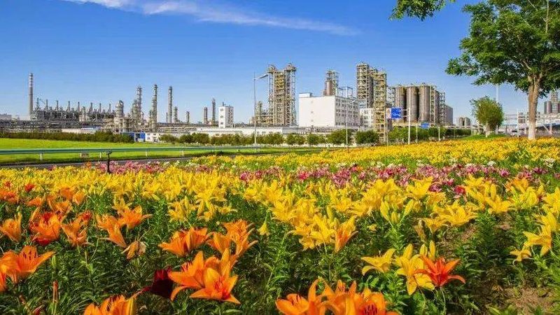 农用精细化工产品安装步骤详解，确保使用安全与高效